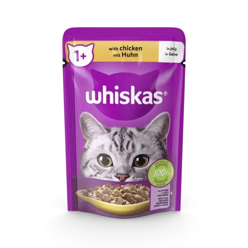 Alimento para gatos